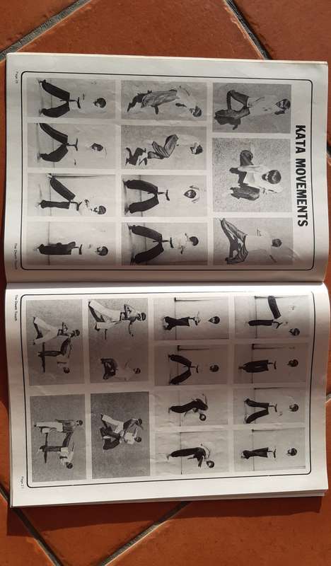 THE DEATH TOUCH  An Introduction to Future Martial Arts