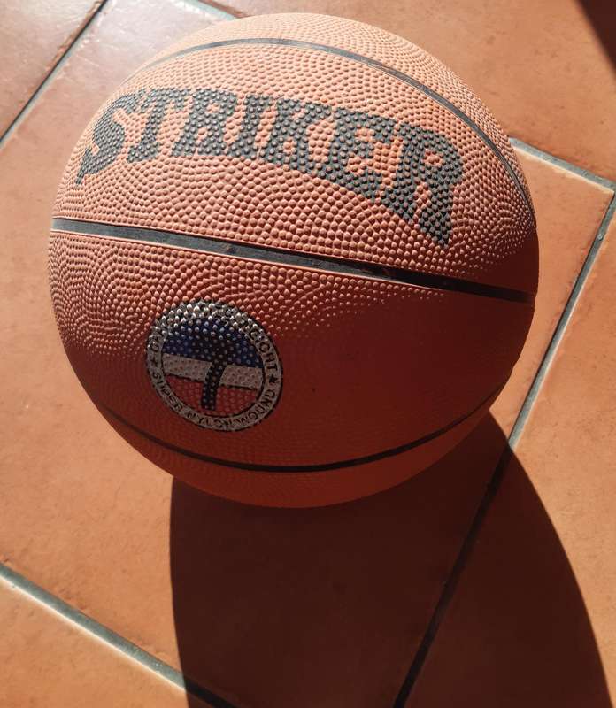 Ball Striker Basketball, Size 7 - Orange