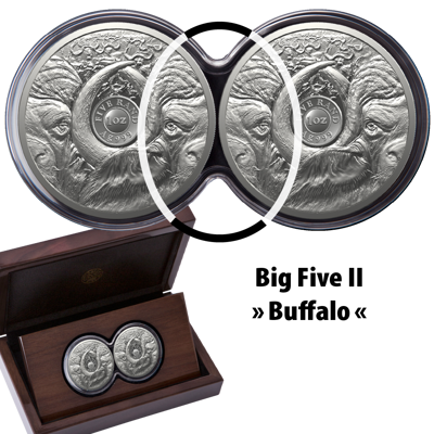 2 oz Silver Coin Set - Big Five II - Buffalo - Double Capsule - 2023
