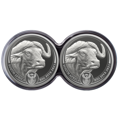 2 oz Silver Coin Set - Big Five II - Buffalo - Double Capsule - 2023