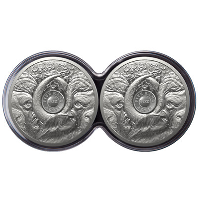 2 oz Silver Coin Set - Big Five II - Buffalo - Double Capsule - 2023