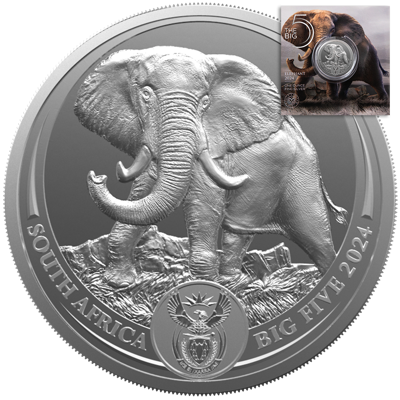 1 oz Silver Coin - Big Five III - Elephant - 2024