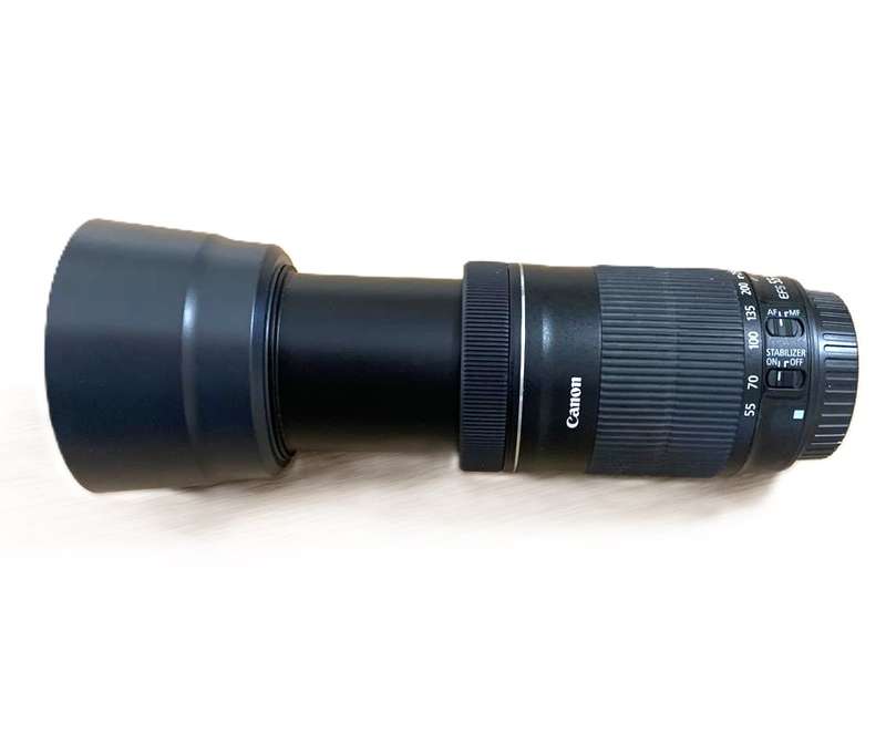 Canon EF-S 55-250mm f/4-5.6 IS STM Lens