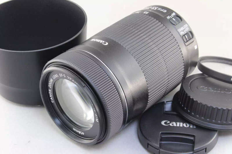 Canon EF-S 55-250mm f/4-5.6 IS STM Lens