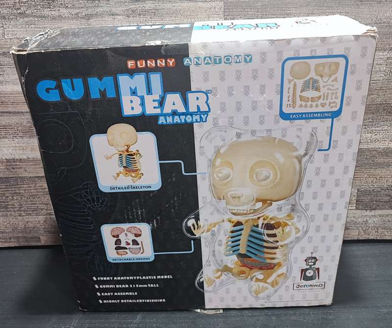 Gummi Bear Anatomy by Jason Freeny