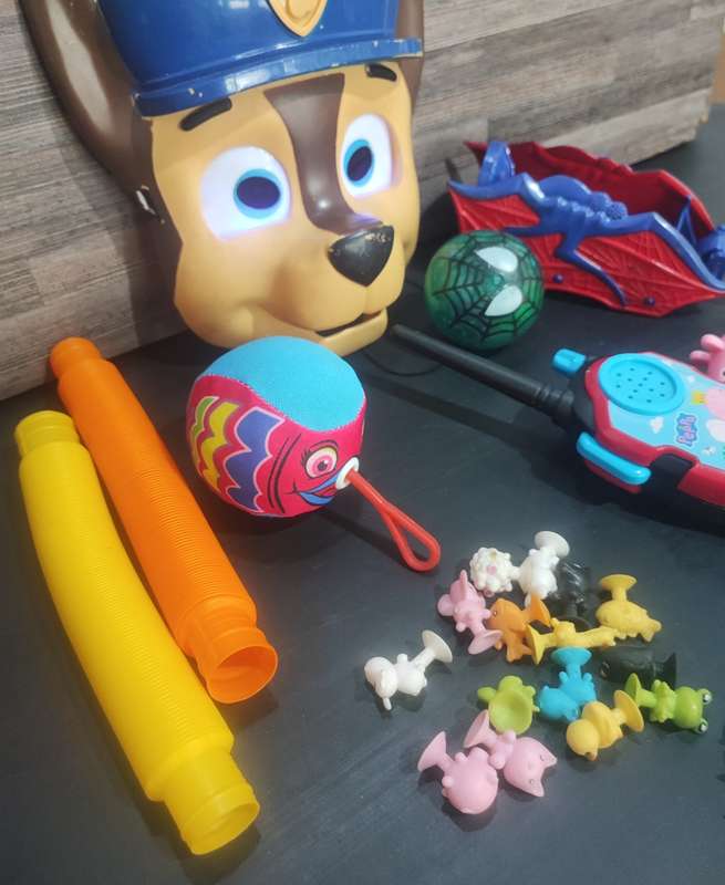 Mixed Toys Combo(Toy Variety)