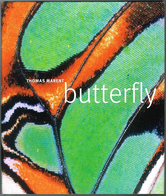 Butterfly Hardcover