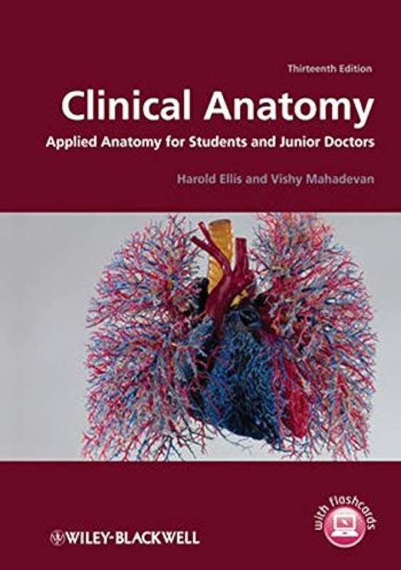 Clinical Anatomy: Applied Anatomy for Students and Junior Doctors 13th Edition