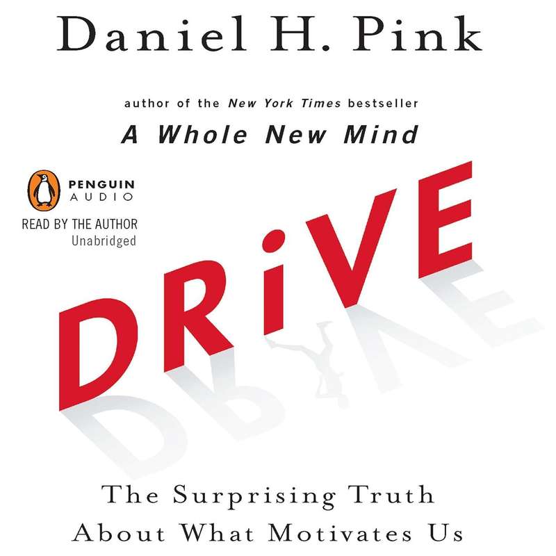 Drive: The Surprising Truth About What Motivates Us Audiobook  Unabridged (5 CDs)