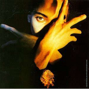 Terence Trent D'Arby's Neither Fish Nor Flesh CD (Import)