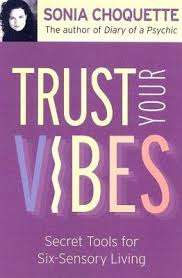 Trust Your Vibes (Paperback)