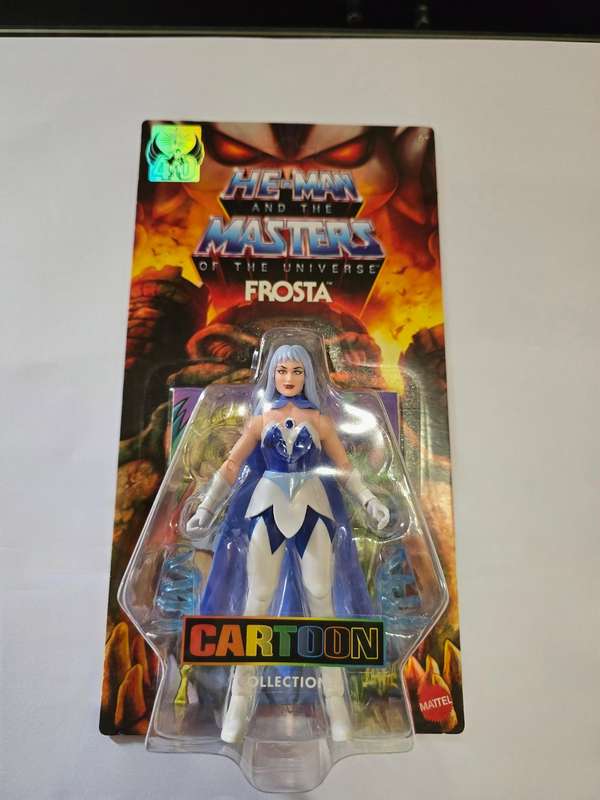 Masters Of The Universe (Motu) Origins Cartoon Collection Frosta Figure Moc