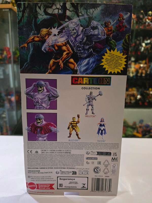 Masters Of The Universe (Motu) Origins Cartoon Collection Skeletor Figure Moc