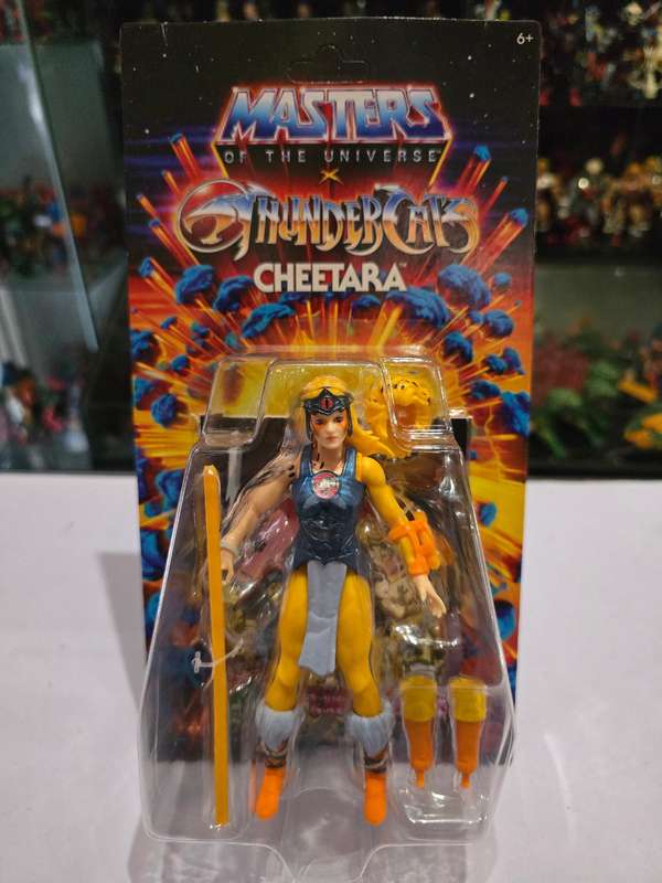 Masters Of The Universe (Motu) Origins X Thundercats Cheetara Figure Moc