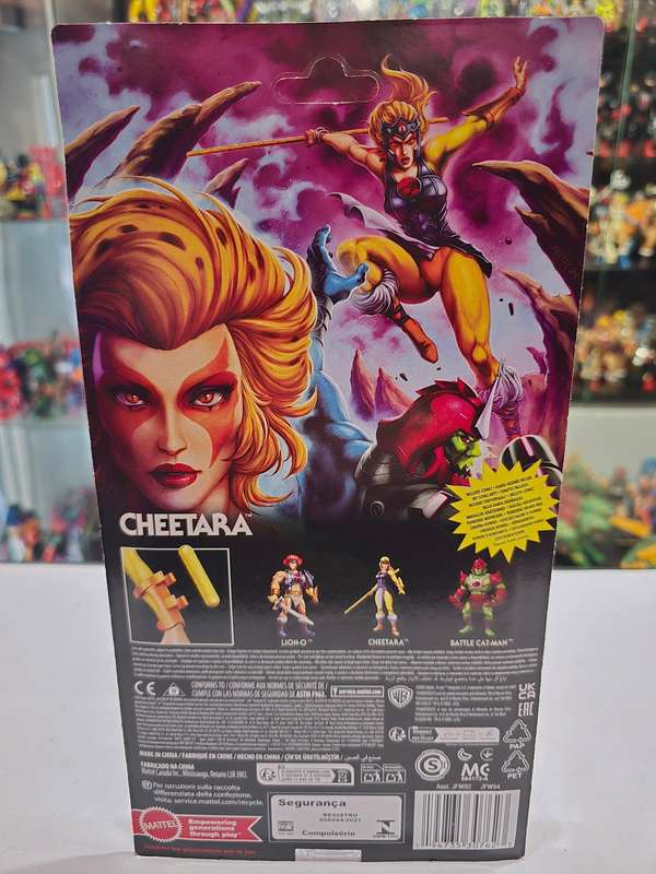 Masters Of The Universe (Motu) Origins X Thundercats Cheetara Figure Moc