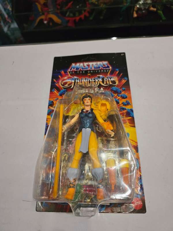 Masters Of The Universe (Motu) Origins X Thundercats Cheetara Figure Moc