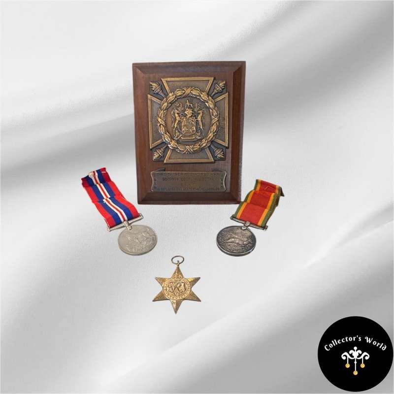 Died on Service Plaque with medals SANF H.J Botha