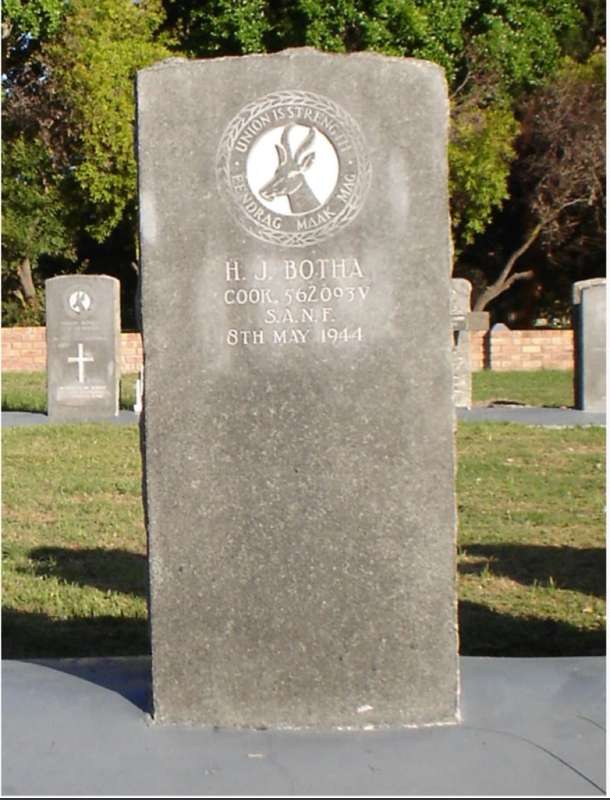 Died on Service Plaque with medals SANF H.J Botha