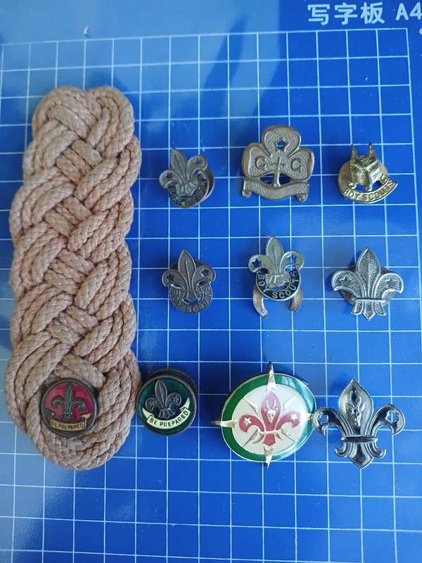 Boys Scouts Badges/Ranks - Lot
