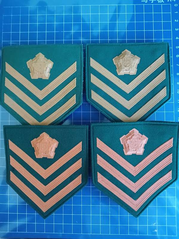 Correctional Services Rank 2 x Sets - Lot