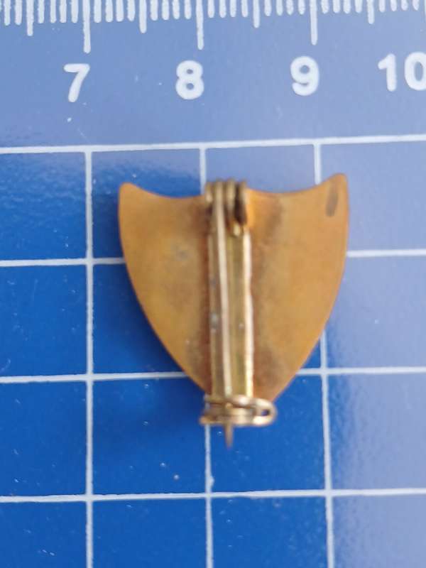 School Prefek - Pin