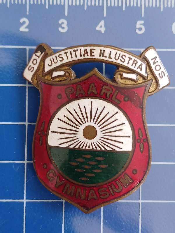 Paarl School - Pin