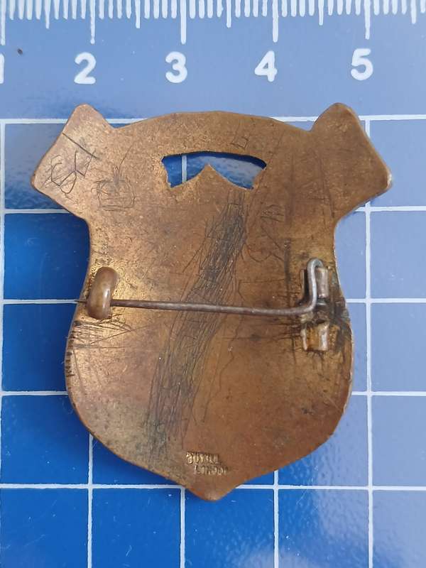 Paarl School - Pin