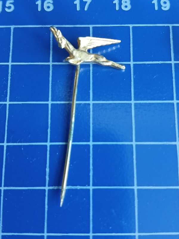SA Airways Springbok Pin