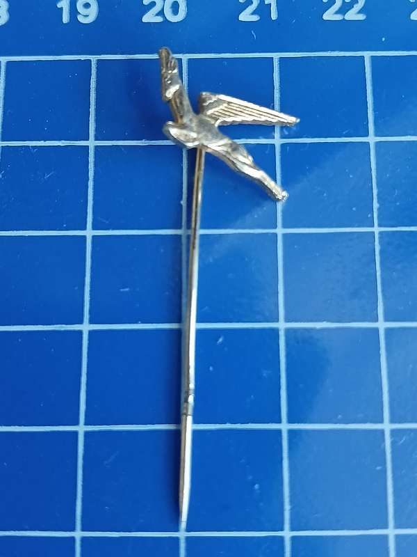 SA Airways Springbok Pin