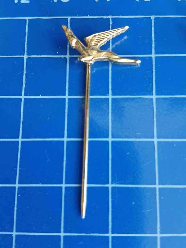 SA Airways Springbok Pin