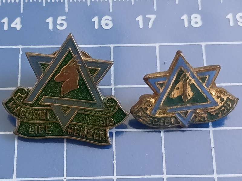 Maccabi Life Member Pin's