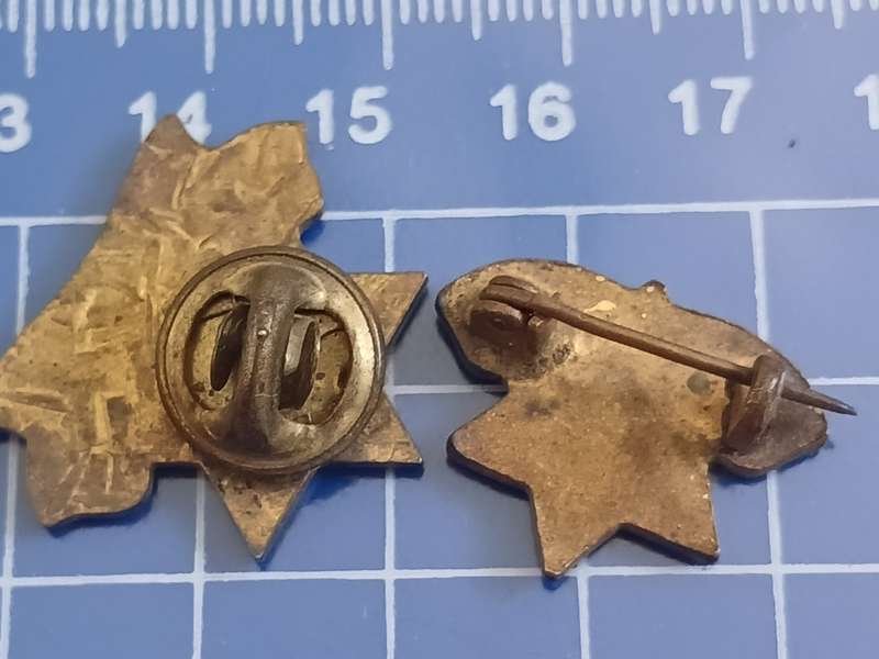 Maccabi Life Member Pin's