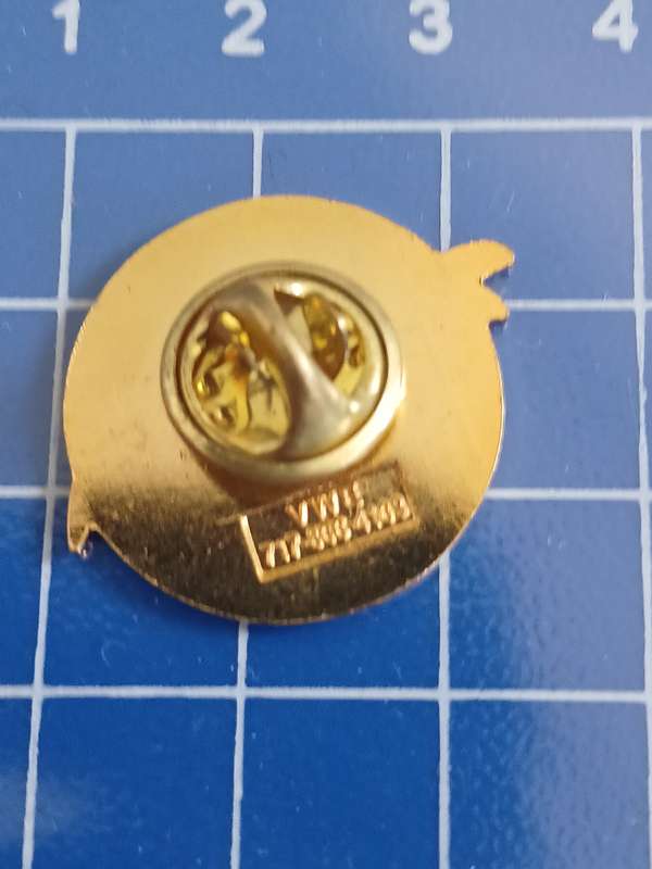 Secret US Service Miami - Pin