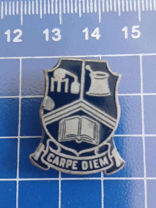 Carpe Diem School - Pin