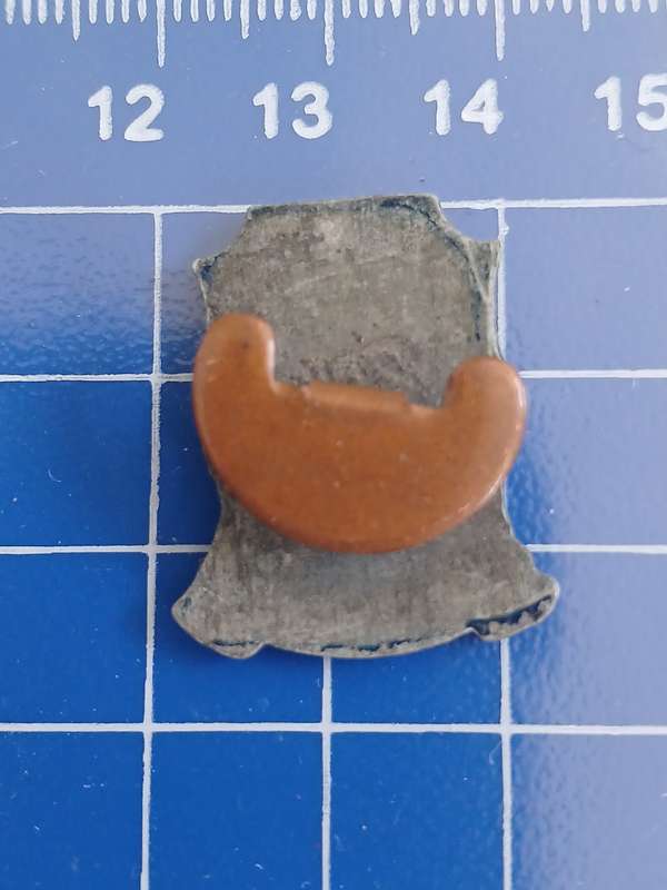 Carpe Diem School - Pin