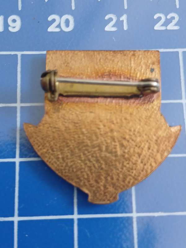 Weigh Less - Pin