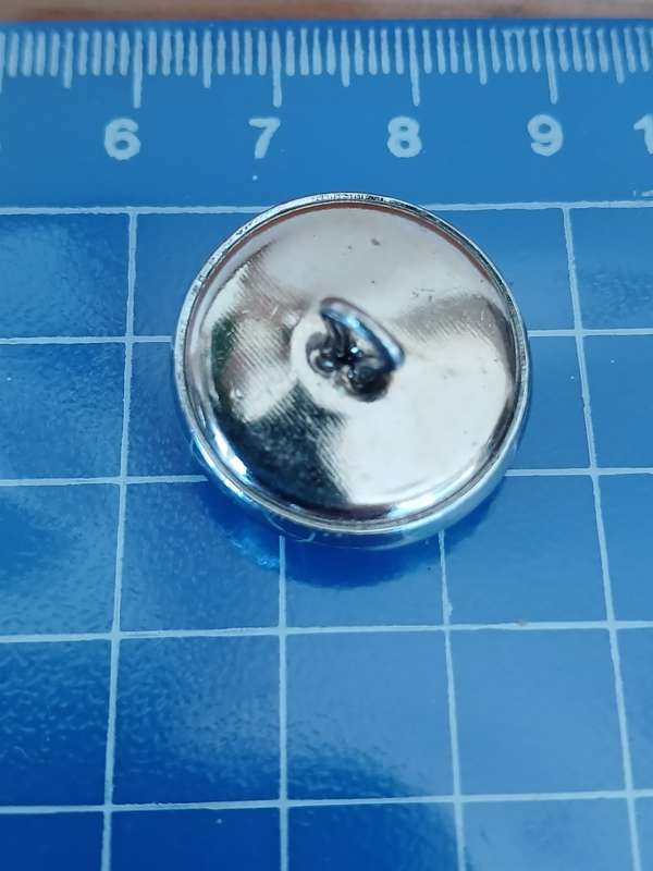 Military Button SADF- Pride of the Lion