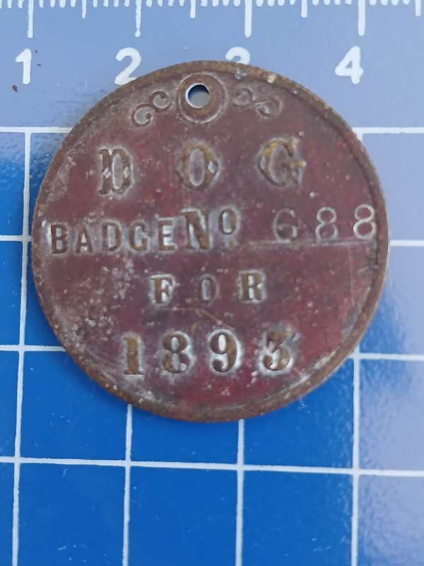 Dog License 1893 Uitenhage