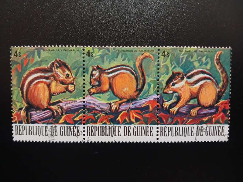 Republic De Guinee Stamps - Squirrels