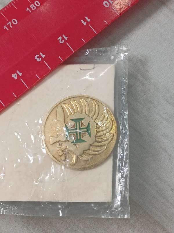 French Foreign Legion with Nights Cross on - Pin (New)