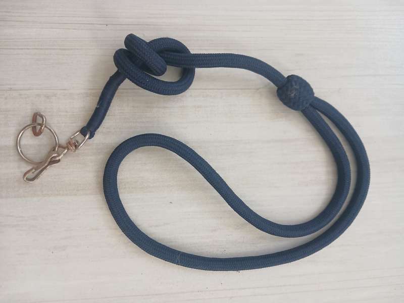 Police Whistle Lanyard