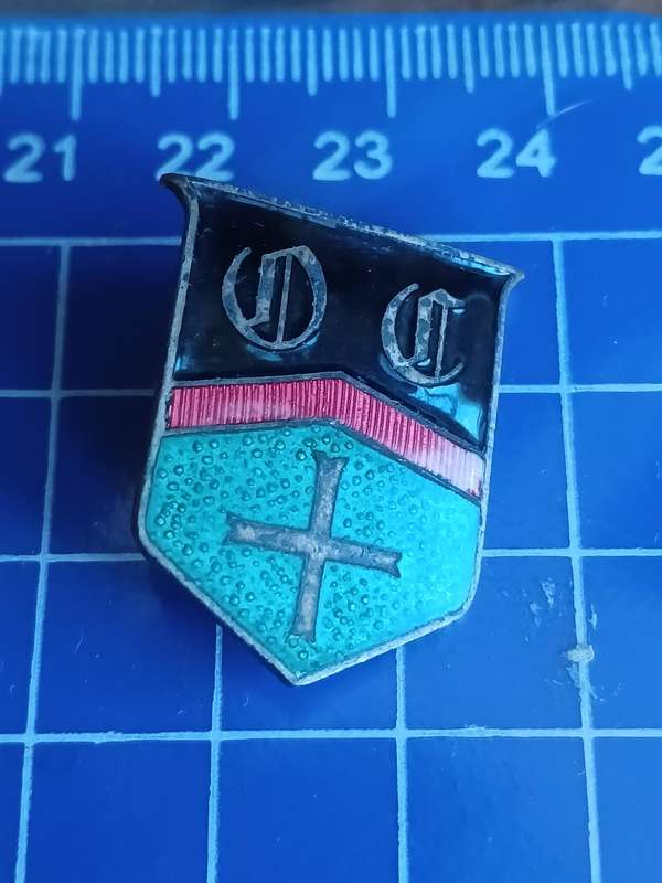 School Unknown - Pin
