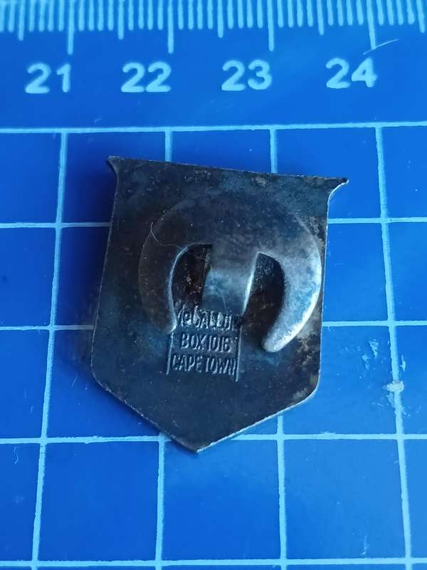School Unknown - Pin