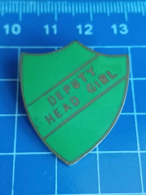 School Deputy Head Girl Pin