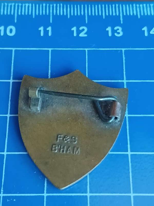 School Deputy Head Girl Pin