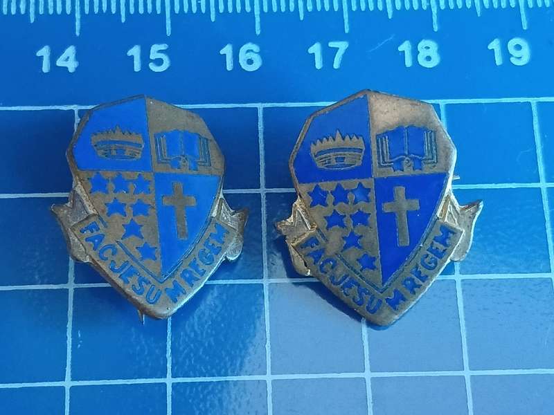School ACVV - Pins