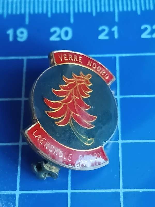 Rugby Pin / Badge - Verre Noord