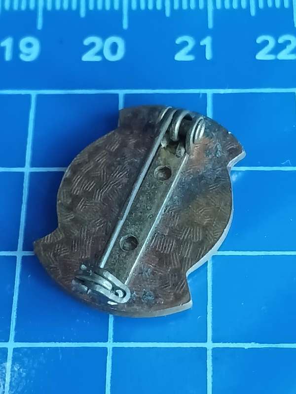 Rugby Pin / Badge - Verre Noord