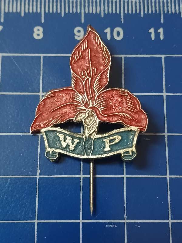 Rugby Pin / Badge W.P. (Western Province)
