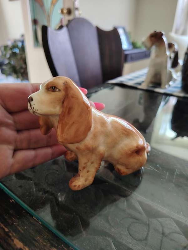 Beautiful vintage Midwinter cocker spaniel